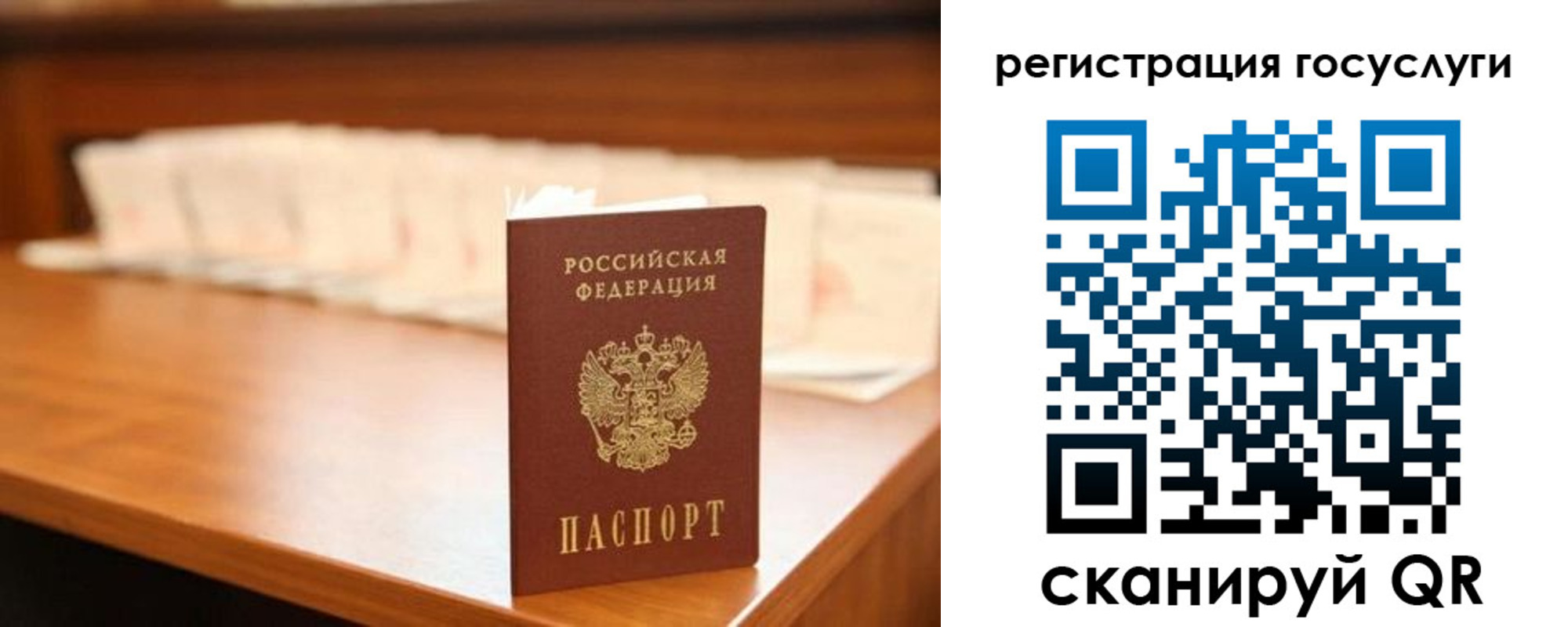 прописка в квартире в Читинской области